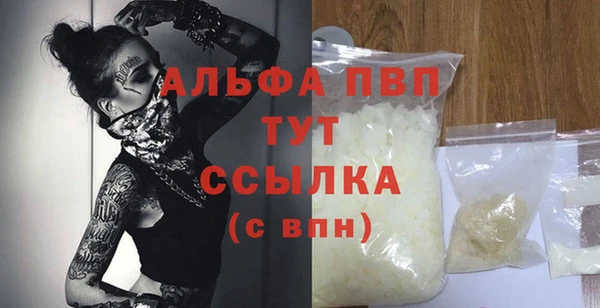 PSILOCYBIN Богданович