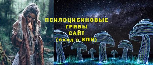 PSILOCYBIN Богданович