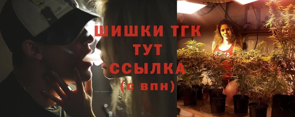 мдпв Бугульма
