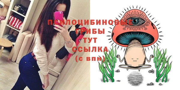 соль курить ск Богородск